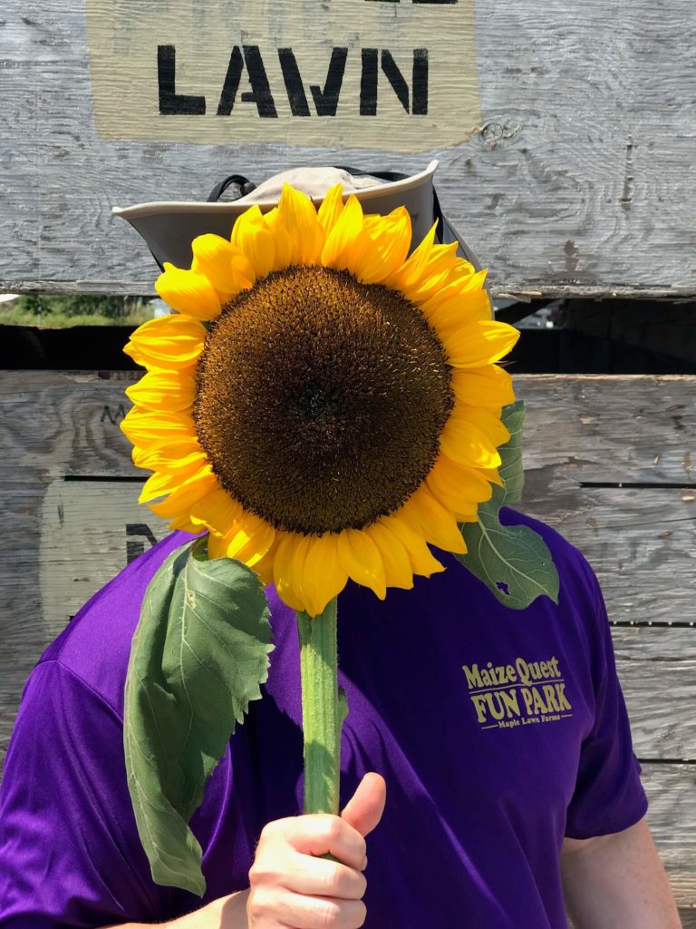 1 Extra Sunflower Bloom